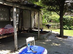 cookout with more "no people"