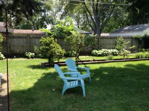 Cookout with still more "no people"