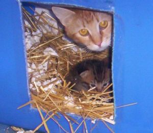 Francis as a newborn