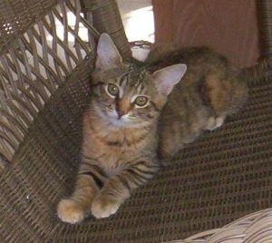 Scottie about a year ago.