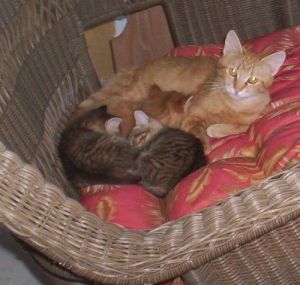 When we were very young...