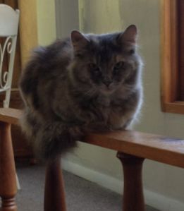 Doris, a few minutes ago.