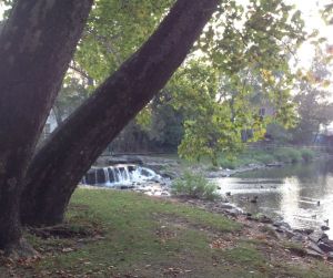 Long shot of the waterfall on the creek