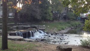 Those white dots beyond the waterfall are white ducks