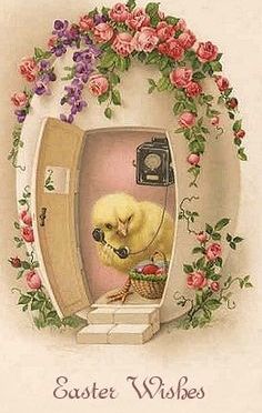 What a glorious spring!