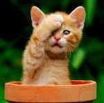 Oops, forgot to alert you!