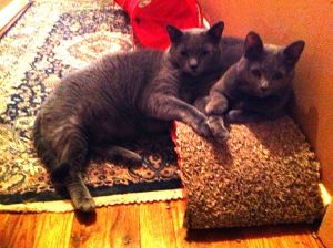 Cleo and Charlie, in the early years.