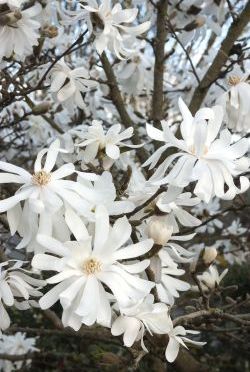 Stopped Me In My Tracks