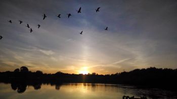 The Unthinkable Happened!