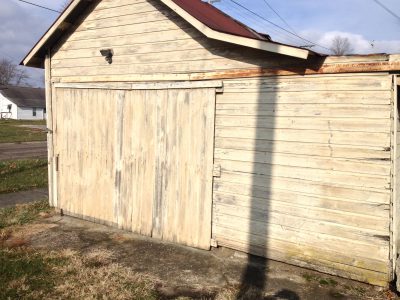 Updates on Happiness, Raccoons, Writing & More!