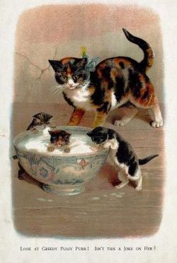 Always Learning Something Interesting Around Here…