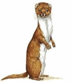 You Remember THIS Guy, Don’t’cha??!!