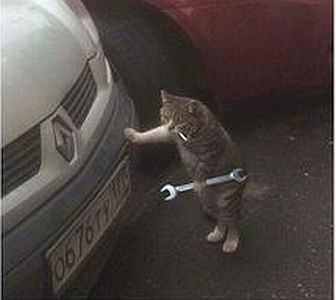 Now That I’ve Fallen in Love…