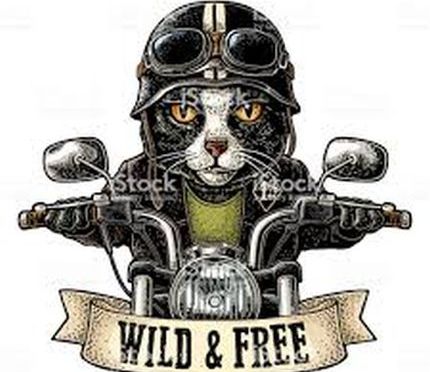 Gettin’ My Shit Together & Takin’ It On The Road