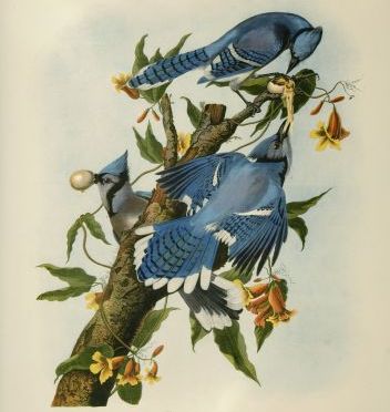 Getting My Quite Comely Behind Outta Bed