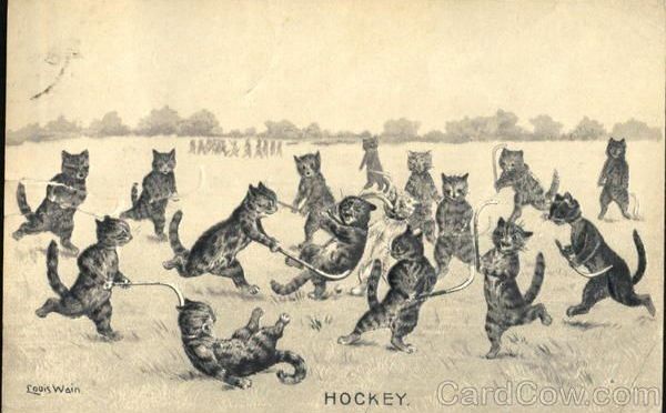 Okay, Now It’s Getting Stupid