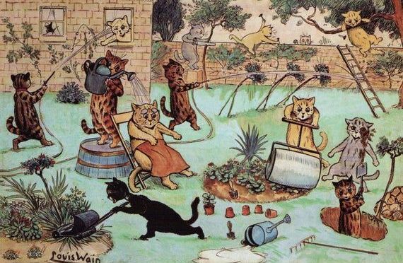 And Then Good Fortune Struck!!