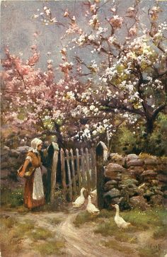 Getting Even MORE Ducks In A Row!