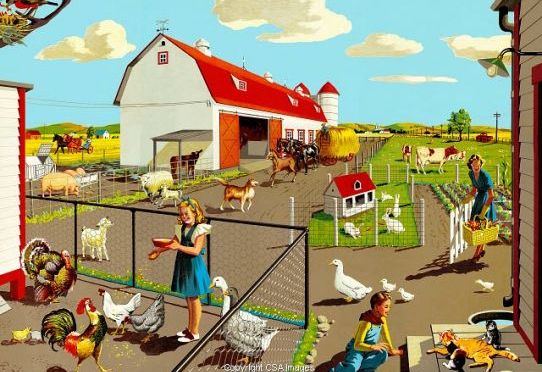 Can You Say “New Barn Door”??!!