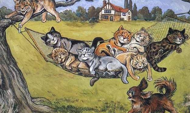 It’s Sort of Been that Kind of Day!!