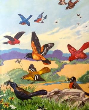 A Clear Blue Morning!