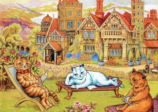 Oops! We Might have Been A Little Pre-Occupied!